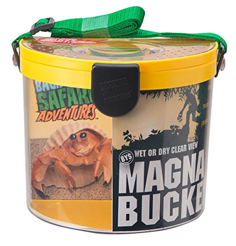 Backyard Safari Magna Cubo