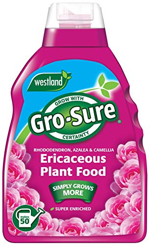 Westland Horticulture GRO-Sure Engrais Super enrichi pour Éricacées 1 l