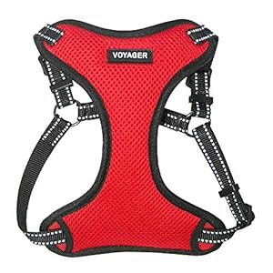Best Pet Supplies Voyager Adjustable Dog Vest Harness Breathable No Pull Harness for Small, Medium, Large Dogs, Harness for Walking, Jogging, Easy Step-in, Reflective Stripes – Red, M