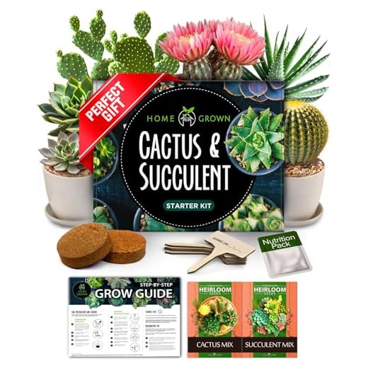 HOME GROWN Succulent & Cactus Seed Kit for Planting – [Enthusiasts Favorites] Premium Cactus & Succulent Starter Kit: 4 Planters, Drip Trays, Markers, Seeds Mix, Soil - DIY Gift Kits