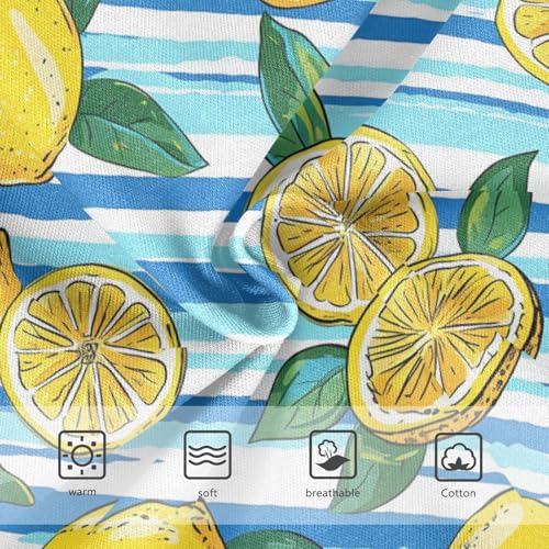 Wusikd Lemons Lemon Slices Girls' Underwear Cotton Blue Stripe Girls Briefs Soft Toddler Underwear 2T3