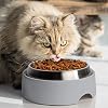 CatGuru Food Table for Cat Bowls, Elevated Feeding Station for Cat Food Bowl, Raised Stand for Pet Food and Water Bowls, Pet Feeder for Indoor Cats, Stress Free Stand for Pet Dishes or Plates (Grey)