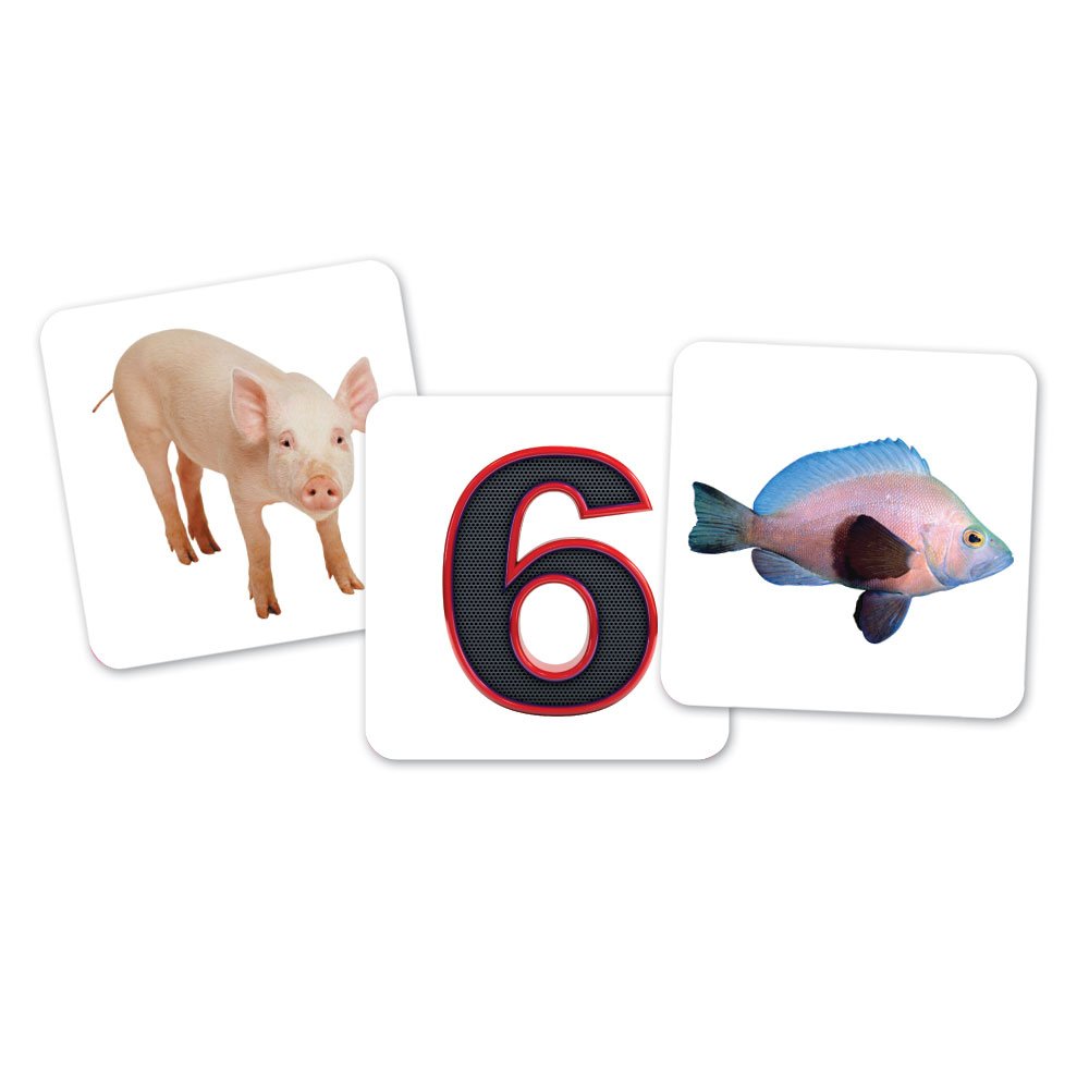 Learning Resources Vowel Owls Sorting Set, Word Recognition, Assorted Colors, Set of 6, Ages 5+ - Image 6