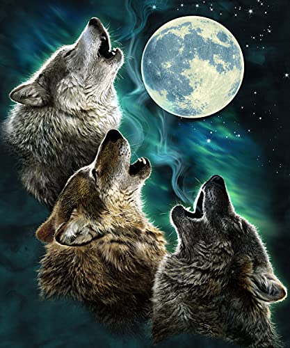 Dawhud Direct Manta de forro polar de felpa súper suave Three Wolf Moon Cover