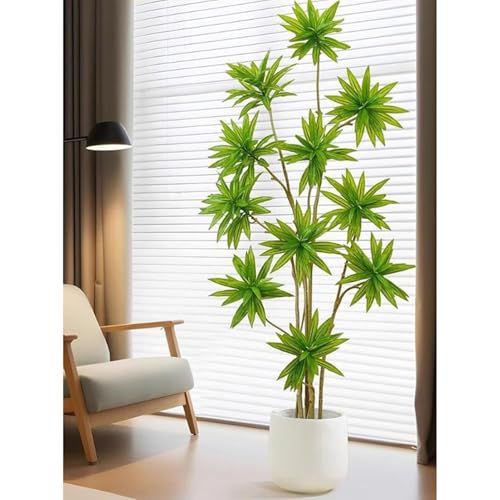 [LJKI] lHϗtA A { hZi ~͐A ϗt tFCNO[  CeAO[ Mtg v[g rO  160cm ItBX l炵 p Bep  Q쏜sv O[1 ͂Ȃ h 