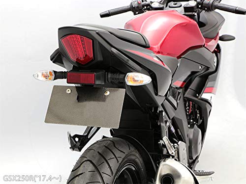 Amazon | LEDISHUN フェンダーレスキット に適合する スズキ GSX250R
