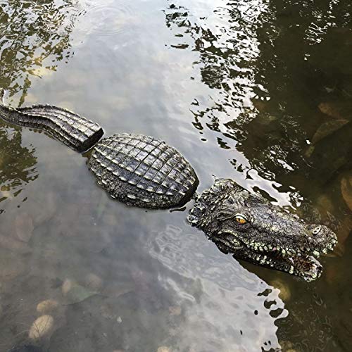 Discover The Best Fake Fish For Creating A Lush And Vibrant Pond