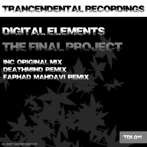 Play The Final Project by Digital Elements on Amazon Music