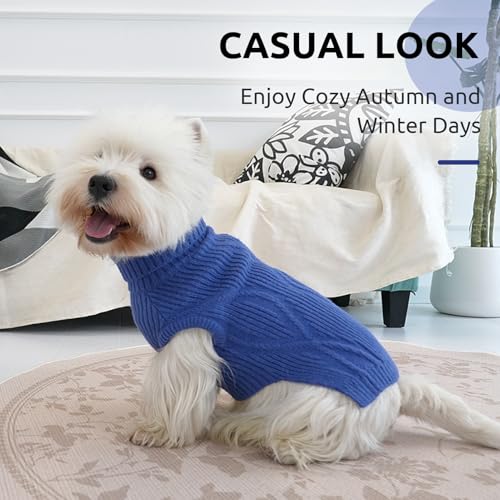 Queenmore Pullover für kleine Hunde | Warm & Bequem | Stretch Hundepulli | Malteser, Pomeranian, Pudel, Shih Tzu (Blau, S)