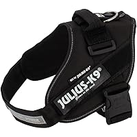 Julius-K9