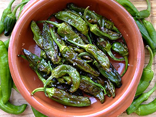 FUMOSA keramische Grillschale Piataci 6X 14 cm - 6