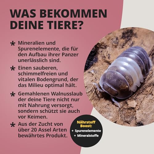 NatureHolic Assel Protect TerrainBoost - Bodenverbesserer für Asselterrarien | Fördert Bodenleben & Gesundheit der Asseln | Schimmel- und Bakterienschutz | Für vitalen Bodengrund | 500g