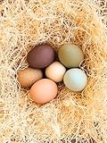 Eggcetera Ceramic Nest Eggs 6-Pack (Homestead Mix)