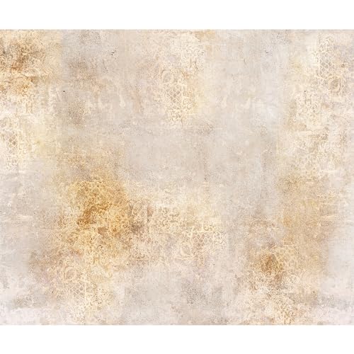 murando - Vlies Fototapete Steintapete 350x256 cm - Foto Tapete...