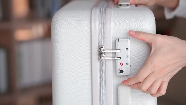 Amazon.com | Hanke Luggage Sets 2 Piece with Spinner Wheels, 20/28