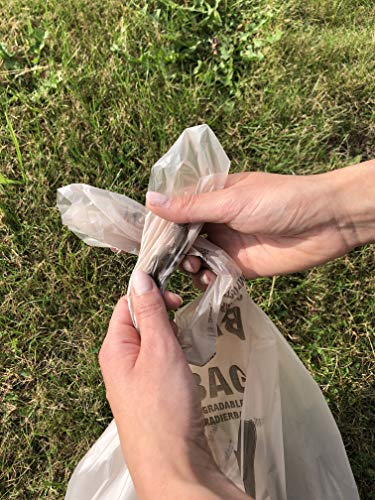 BranQ - Home essential Mobile Campingtoilette 15,5 Ltr, Inklusive 1 Stück Bio-Toilettenbeutel KOSTENLOS, PP aus BPA… - Image 7