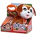 Just Play furReal Poop-A-Lots Big Wags Interactive 8-inch Walking Plush Stuffed Animal, Pooping Puppy with Leash, 14-Pieces, Kids Toys for Ages 4 Up