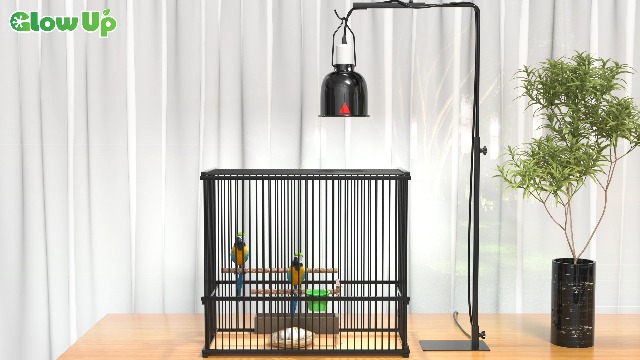 Image of GlowUp 23W UVB Bulb for Bird, UVB 2.4 Compact Fluorescent Light Bulb E26 Birdcage Compact UVB 2.4 Lamp for Captive Birds and Reptiles