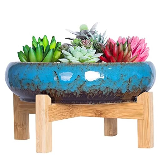 Succulent Pots - Large Succulent Planters Pots with Drainage, 10 Inch Ceramic Bonsai Pot with Stand Round Shallow Planter for Indoor/Outdoor Plants Decorative Garden Cactus Flower Container Bowl