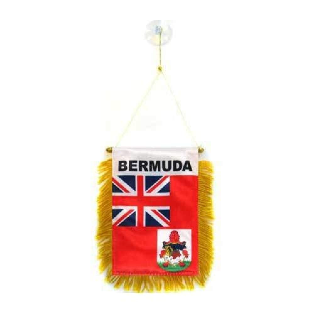 AZ FLAG - Fanion Jamaïque Pour Décoration Voiture Avec Ventouse et Franges Dorées - Mini Drapeau Jamaïcain - 13x10 cm - 5