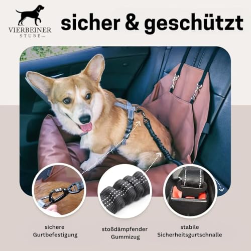 VierbeinerStube® Hundegurt fürs Auto – Sicherheitsgurt mit 360° Karabiner – Für alle Hunderassen & Fahrzeugtypen – Länge 50–80 cm