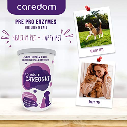 Caredom-CAREOGUT-Super-Premium-PROBIOTICS-and-PREBIOTICS-Blend-with-Enzymes-Promotes-Better-Digestion-Boost-Immunity-Gut-Health-for-Dogs-Cats-100-grm