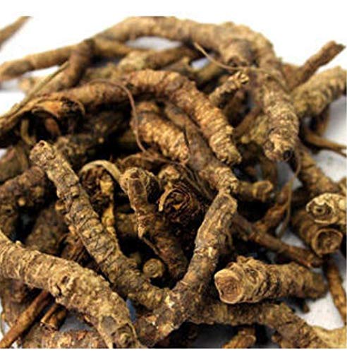 Kutki 50Grm - Picroriza Kurroa - Hellabore - Katukarogani Root - Kadu - Katuka - कडू - कुटकी