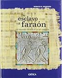 De esclavo a faraón: Los faraones negros de la XXV Dinastía: 1 (Egipto)