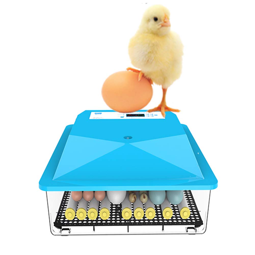Buy Incubator PIGE Automatic Egg 48 Eggs 56 Eggs Poultry Hatcher With Light Automatic Turning