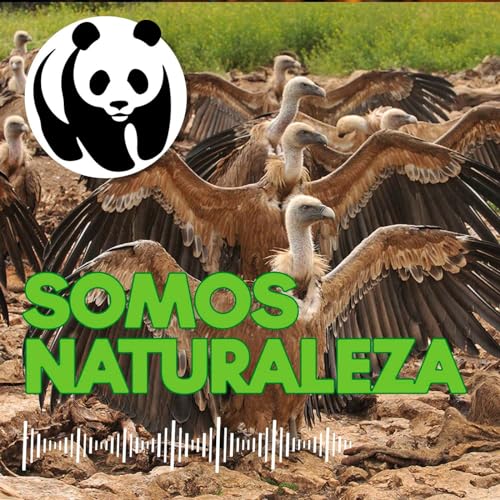 Page de couverture de Un refugio para las rapaces 🦅 - Ep. 15