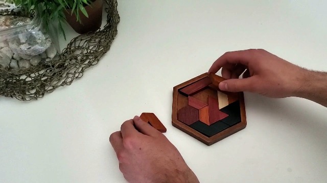 Amazon.com: LMC Products Hexagon Wooden Puzzle Toy - Brain Teasers