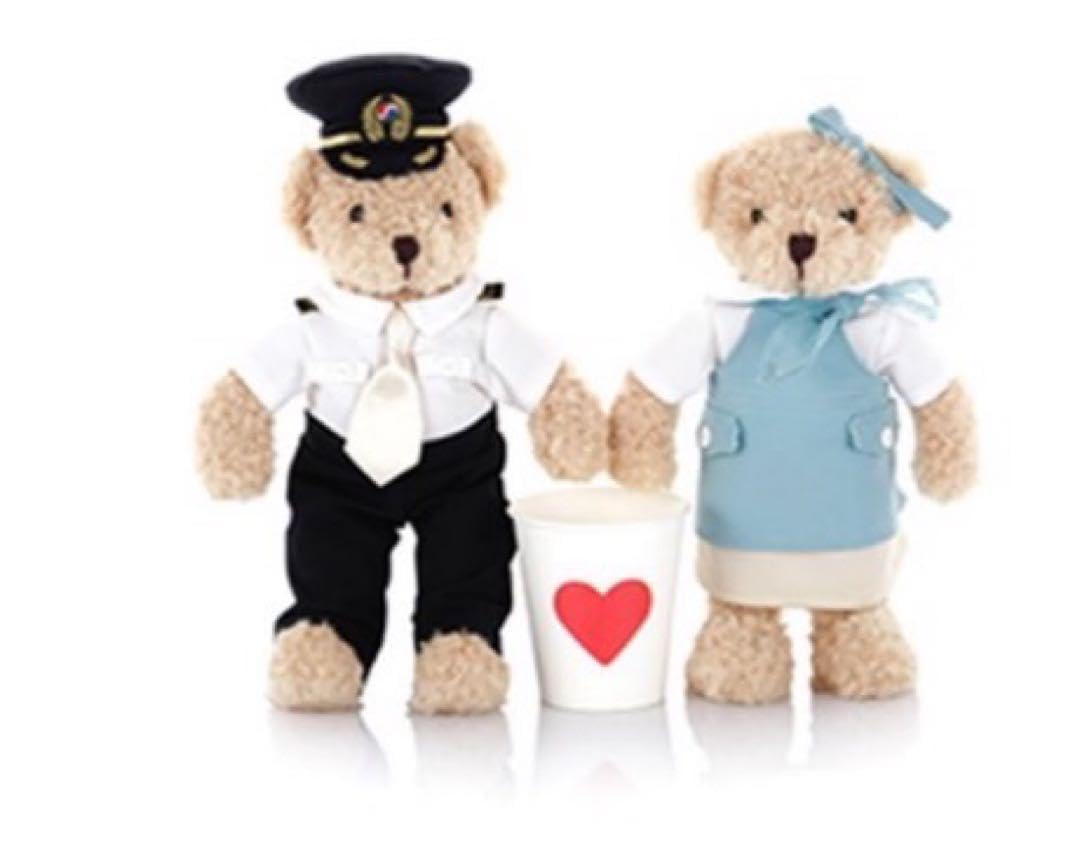 大韓航空 Teddy Bear ぬいぐるみ2体セット Amazon.co.jp: KOREAN AIR 希少価値 大韓航空 ぬいぐるみ テディベア
