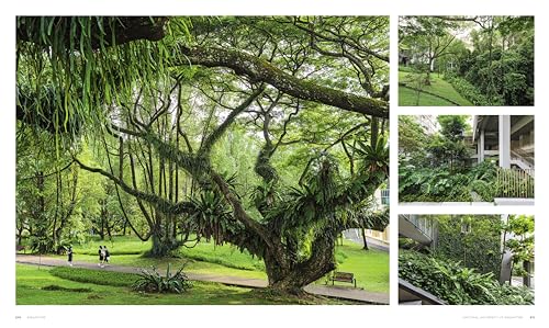 Visionary: Gardens and Landscapes for our Future - Image 9