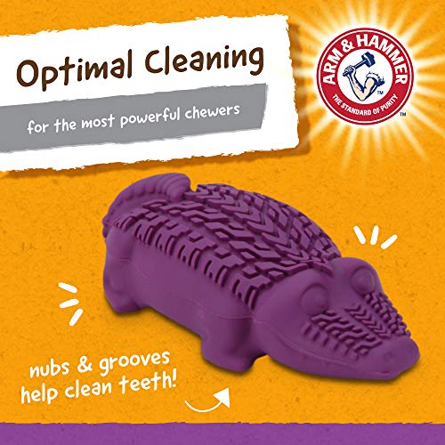 dog teeth cleaning toy