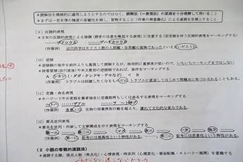 Amazon.co.jp: VM25-042 駿台 共通テスト現代文パーフェクト