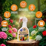 Zoom IMG-2 verdevivo olio di neem 100 Zoom IMG-2 verdevivo olio di neem 100