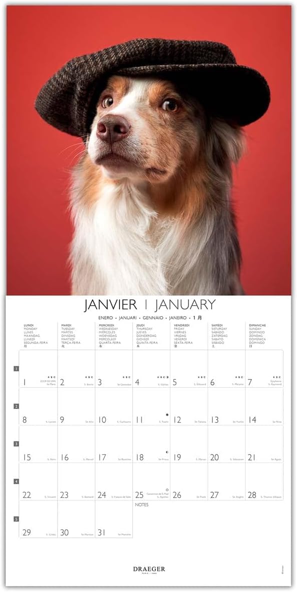 DRAEGER PARIS | Doisneau 2024 Large Wall Calendar Hanging 29 x 29 cm | 16 Months Sep-23 to Dec 24 | 7 Languages | Office Calendar, Home, Monthly | Decoration, Organization | FSC® Certified Paper 8 510neUc0hDL. AC SL1200