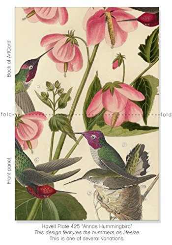 J.j. Audubon"Birds Of America" Artcards: Hummingbirds 5X7 6 Notecard Pack #TOP7
