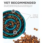 Outward Hound Fun Feeder Slo Bowl, Slow Feeder Dog Bowl, Medium/Mini, Turquoise - Image 4