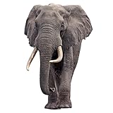 Elephant - Life Size Cardboard Cutout Standup People with Support Standee | Animals -