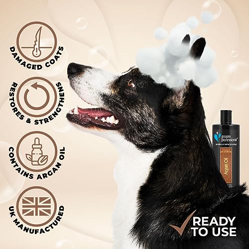Groom Professional Arganöl Hundespülung (1 L) – Professionelle Formel mit Marokkanischem Arganöl, Stärkt und Nährt Trockenes oder Verfilztes Fell, Spendet Glanz