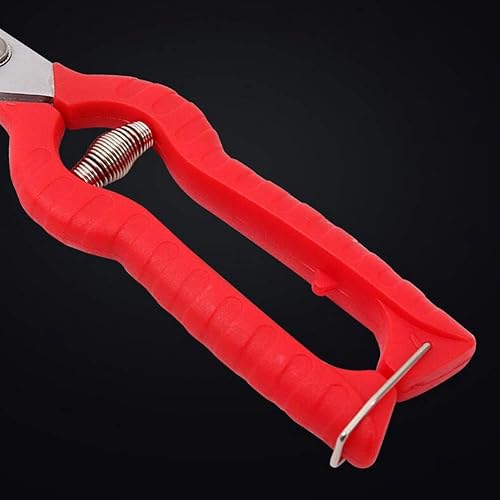 Miniatura 5 de KATUR Tijeras de podar de rosas de jardín podadoras de mano profesionales cuchillas rectas de acero inoxidable para arreglo de flores recorte de