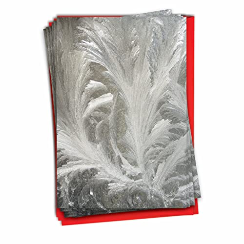 The Best Card Company - 12 Beautiful Christmas Cards with Envelopes (1 Design, 12 Cards) - Bulk Boxed Set of Holiday Greetings (Not 3D or Raised) - Ice Feathers B3283IXSG