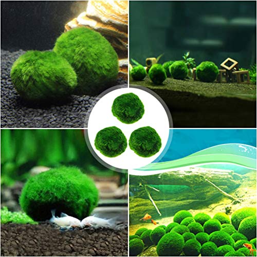 ULTECHNOVO 3 Pcs Marimo Musgo Bolas Algas Verdes Planta AquÃ¡tica AquÃ¡rio Peixes Tanque de CamarÃ£o