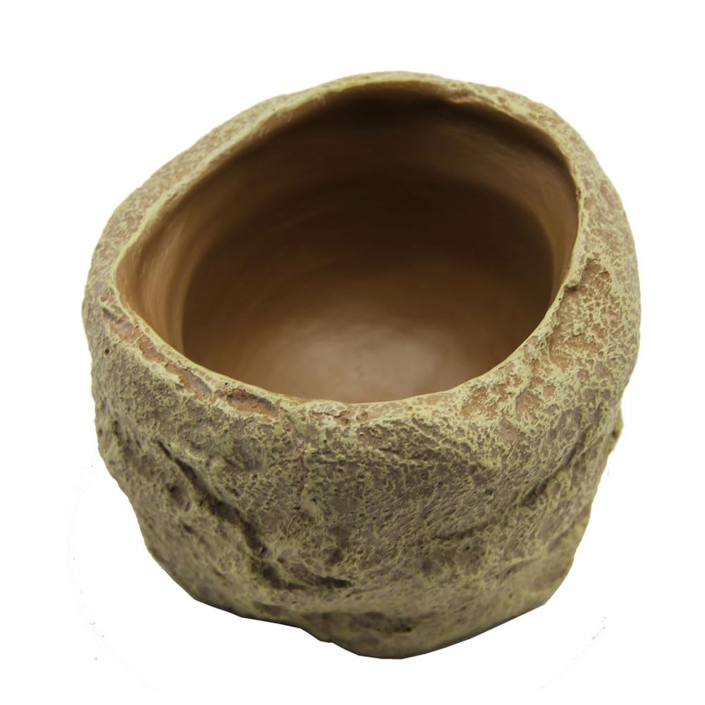 Reptiles Planet Repti Dish Deep M Gamelle pour Reptiles 12 x 11,5 x 8 cm