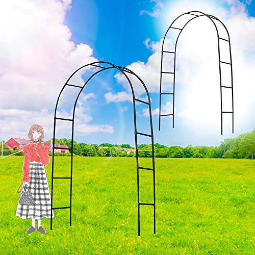 アーチ 鉄製 アーチEX 黒 2個 幅140 奥行40 高さ240 錆びない 亜鉛 メッキ ガーデン フラワー ローズ バラアーチ ガーデニング 庭 玄関 門 つる バラ 薔薇 園芸 国華園