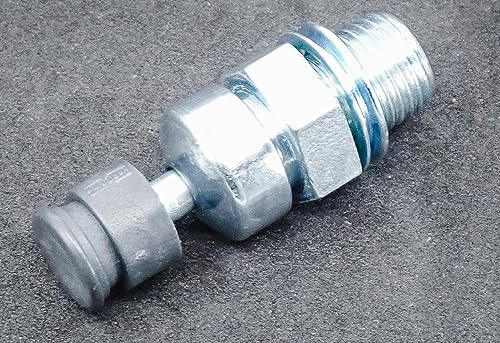 Traverse Creek Incorporated Genuine Echo Decompression Valve Assembly FITS CSG-7410 CS-7310P A014000130