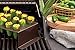 Nordic Ware 365 Indoor/Outdoor Chicken Leg Griller and Jalapeno Roaster