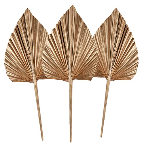 3 hojas de palmeras secas, lanzas de palmeras secas naturales, abanico de palmeras secas pequeñas,fiesta, boda, pared, pastel, decoración gold