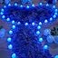 Blue Light, Blue Petals